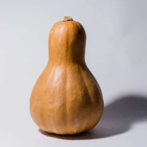 AGOTADO, SE PUEDE RESERVAR Calabaza